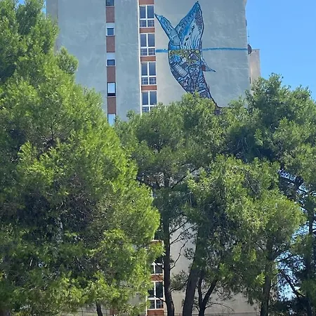 Apartman Vita דירה פולה